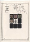 Turkey 1860s-1890 A Fascinating Collection Of Constantinople Istanbul Locals
