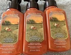 Lot Of 3 - Bath   Body Works Sweet Cinnamon Pumpkin Hand Soaps - New    read 