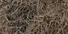 Quality Growers Preserved Spanish Moss 108 5 Cubic Inches-natural Qg1500
