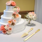 Cake Cutting Set For Wedding - Extended Cake Knife And Server Set Thickened
