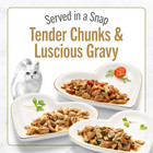 Purina Fancy Feast Gourmet Wet Cat Food Variety Pack  Petites Gravy Collection 