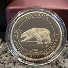 2013 1 5oz Canada  8 Proof Silver Polar Bear Coin  9999 Fine - 1 1 2oz 092808