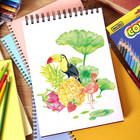Colored Pencils For Adult Coloring Books  48 Colored Pencil Set For Artist Sketc