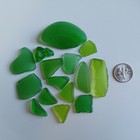16 Frosty Green Sea Glass Pieces  Med-lg Lime  Jq Genuine Surf Tumbled Nyc Beach