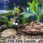 5lbs Aquarium Gravel  Pea Gravel For Indoor Plants 1 4 Inch Decorative River Roc