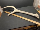 Pair Elk Antlers Spikes Colorado Rockies Non Typical 18    And 22   
