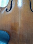 Antique Stainer Violin Body