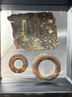 Old Rare Vintage Antique Civil War Relics Harmonica Reed Tent Grommet