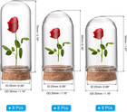 Clear Cloche Glass Dome  24 Pack Glass Bell Jar Display Case Tabletop Centerpiec