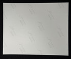 Michael Jordan - 8x10 Photograph