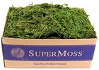 Supermoss  25325  Forest Moss Preserved  Fresh Green  3lbs 