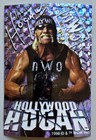 9 Rare Vtg Wcw Wrestling Hulk Hogan Vending Machine Stickers  Mr  T  Collectible