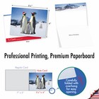 10 Pack Merry Christmas Note Cards - Penguins And Greetings