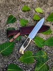 Handmade Stainless Steel Bowie Hunting Knife With Stag Handle   Leather Sheath