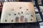 Massive Lot 116 Pairs Earrings  30 Bracelets  23 Necklaces   1 Ring  Best Offer 
