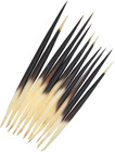Porcupine Quills Set  Genuine Natural Material  10 Pieces  Varies In Size