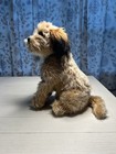 Vintage 1978 Dakin     Benji     Stuffed Plush Dog Realistic 16   