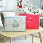 Newborn Gift Box Set
