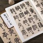 Chinese Traditional Calligraphy Seal Character Copybooks Script Brush Copy Book