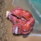 Red Jade Carved Stone Marine Animal Figurine Statue  Fish   Turtle Design