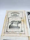 Lot Of 4 Vintage Sporting Dog Journal Magazines 1996 Pitbull Breeding History