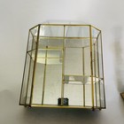 Vintage Glass With Brass Tabletop Curio Cabinet Display Shelf Mirrored Back