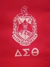 Vintage Delta Sigma Theta Nylon Zippered 6 Pocket Shoulder Tote Bag Purse