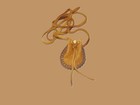 Native American Deerskin Leather Medicine Bag  Buckskin Necklace Pouch  2 