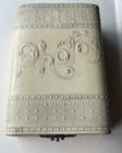 A Rare Victorian Survivor  Art Nouveau Celluloid Cabinet Card Repository