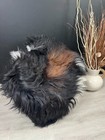Xxl Sheepskin Genuine Leather Exquisite Beautiful Natural Rug Pelt Throw Pet Bed