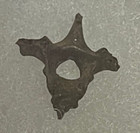 Bird Vertebrae Fossil-la Brea Tar Pits-free Shipping