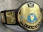 Big Eagle Attitude Era Wrestling Championship Replica Tittle Belt Adult Size 2mm