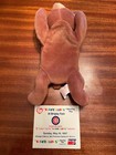 Ty Beanie Baby Cubbie 2nd Gen 1st Tush  Authenticated Tbb Mwnmt In Case 