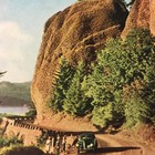 Columbia River Highway  Portland  Oregon Color Vintage Postcard P74