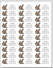 150 Ring-tailed Lemur Mailing Return Address Labels Personalized