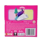 Mini Barbie Land Dream Snowmobile Collectible Playset With 1 5-inch Barbie Doll