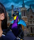 Sold Out   Tokyo Disney Limited Maleficent Dragon Clip  Plush On Shoulder