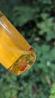 Palo Santo Energy Shifting Mist Room Spray Gemstone Infused