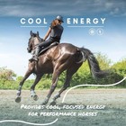 Manna Pro Cool Calories 100 - Equine Dry Fat Supplement For Healthy Weight 