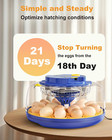 18 Chicken Egg Incubators For Hatching Eggs  Egg Incubator With Automatic Egg Tu