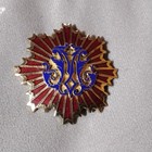 Vintage Heraldic Coat Of Arms Shield  Family Crest  Star  Burst  Pin  Pendant 