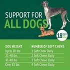  Petnc Natural Care Skin And Coat Soft Chews For Dogs 60 Count 