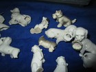 Huge Lot   Antique Victorian Porcelain Dogs cats Animals  origin Germany