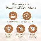 Irish Sea Moss Whole Leaf - 100  Raw Wildcrafted Chondrus Crispus Superfood Bulk