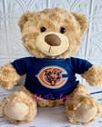 Custom Design Sport Teddy Bear  T-shirt Fits Most Stuffed 14  Animals Plushies