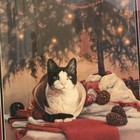 Christmas Art Print Cat Black And White Gingerbread Dreams Bonnie Mohr 261 2450