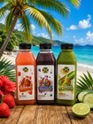 Karub Fusion Homemade Juice Bundles  1 Pack-3 Juice Flavors  10oz 16oz Bundle