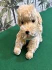 Vintage Steiff Poodle Dog Original Snobby Jointed Mohair Plush Figure Toy German