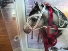 Breyer 2021 Holiday Christmas Horse  Artic Grandeur New