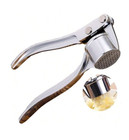 Stainless Steel Garlic Press   Ginger Crusher  Easy To Use  Durable Kitchen Tool